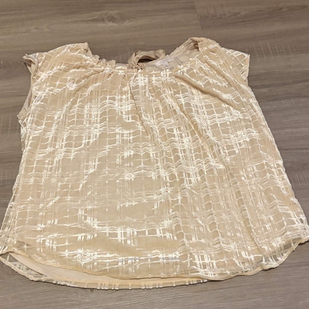 Lauren Conrad Women’s Cream Textured Velvety Short Sleeve Blouse